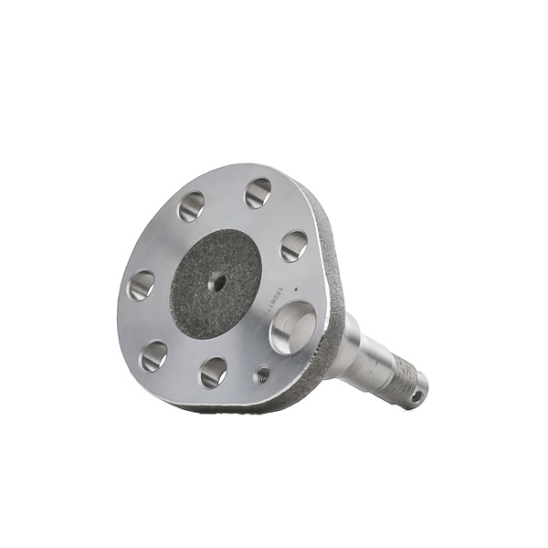 RIDEX 653W0166 Πλήμνη τροχού SEAT TOLEDO 1 (1L) 133 PS Βενζίνη κόστος