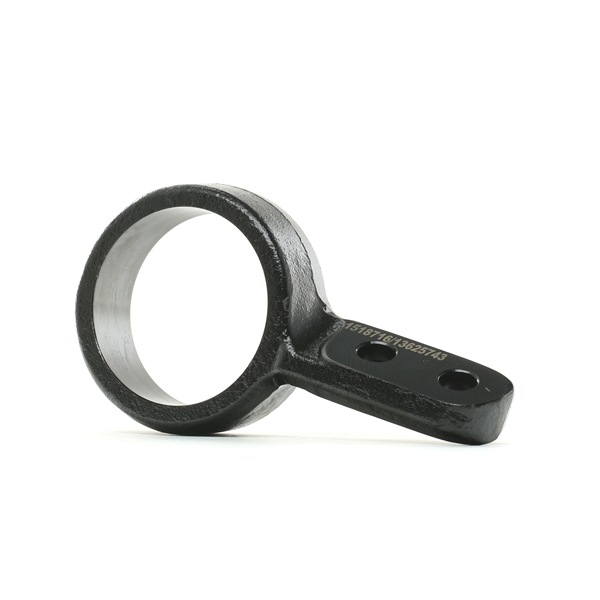 RIDEX 251T0176: Lagerung, Lenker Vorderachse unten, rechts