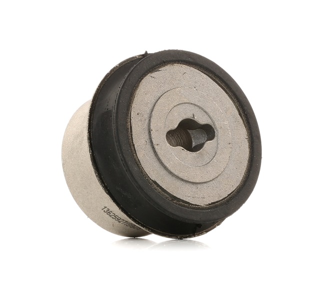 RIDEX 251T0256: Lagerung, Lenker hinten