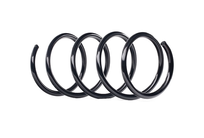 RIDEX 188C0122: Fahrwerksfeder Vorderachse
