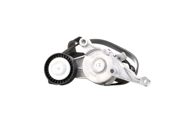 RIDEX 542R0007 Poly V-riem set VOLKSWAGEN Passat Variant (3C5) 105 Pk Diesel kosten