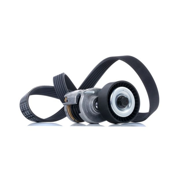 RIDEX 542R0008 Σετ ιμάντων poly-V SEAT Toledo 4 (KG3) 105 PS Πετρέλαιο κόστος