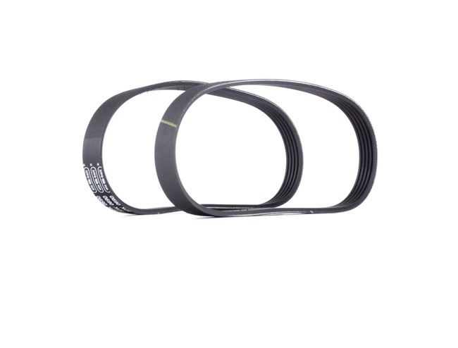 RIDEX 542R0018: Poly V-riem set