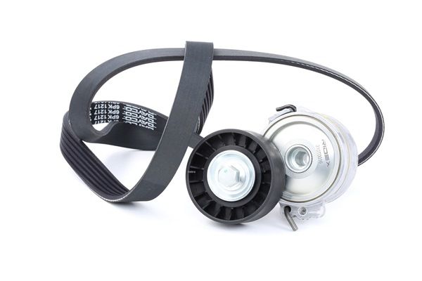 RIDEX 542R0025 Keilrippenriemensatz CITROЁN C5 3 (RD) 138 PS Diesel Kosten