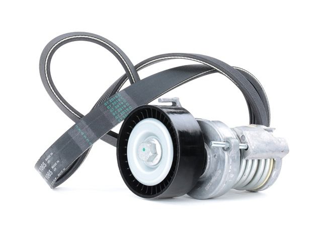 RIDEX 542R0036 Poly V-riem set SKODA FELICIA 1 (6U1) 75 Pk Benzine kosten