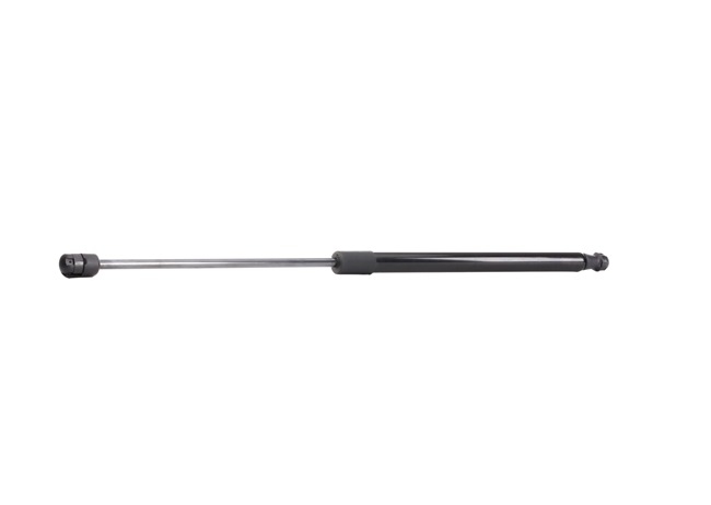 RIDEX 219G0446: Heckklappendämpfer 510mm
