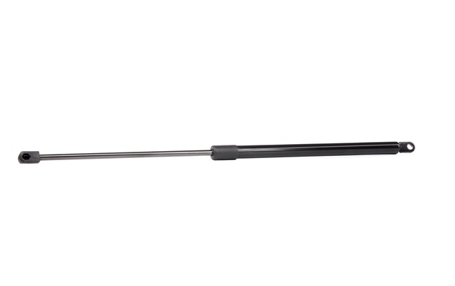 RIDEX 219G0453: Heckklappendämpfer