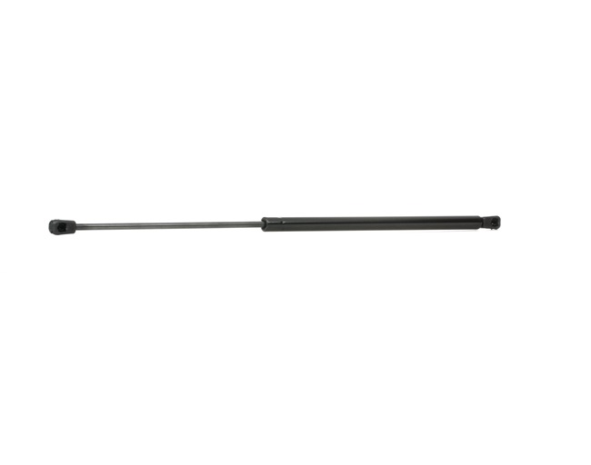RIDEX 219G0683 Bagklapsdæmper MITSUBISHI COLT 6 (Z3A, Z2A) 95 HK Diesel hvad koster