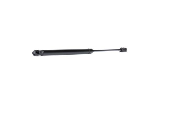 RIDEX 219G0702: Heckklappendämpfer beidseitig, 420mm