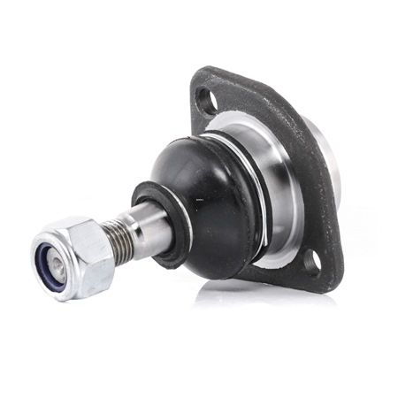 RIDEX 2462S0227 Šarnyras FSO Polonez I 65 AG benzinas kaina