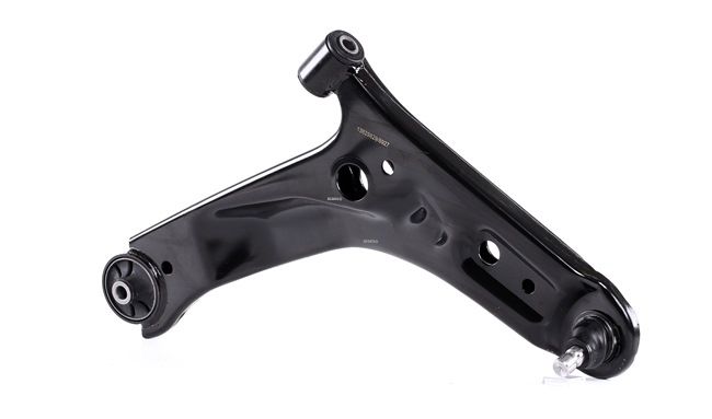 RIDEX 273C0532 Querlenker HYUNDAI i10 (IA) 82 PS Benzin Kosten