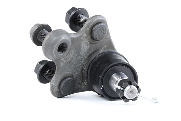 RIDEX 2462S0213 Traggelenk unten, Vorderachse beidseitig, 20mm