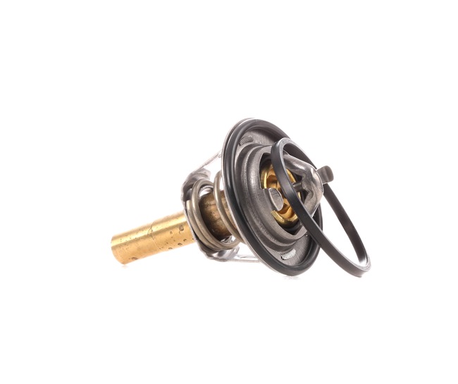 RIDEX 316T0066: Termóstato, líquido de refrigeração 90ºC, 48mm, com junta, com retentor