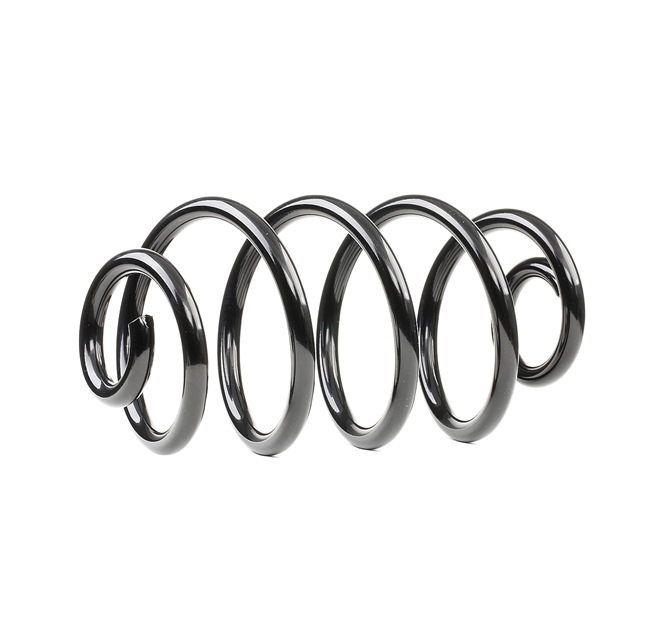 RIDEX 188C0237: Chassisveer Achteras