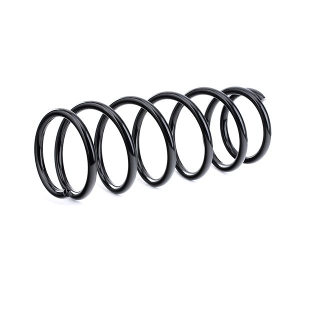 RIDEX 188C0250: Fahrwerksfeder Hinterachse