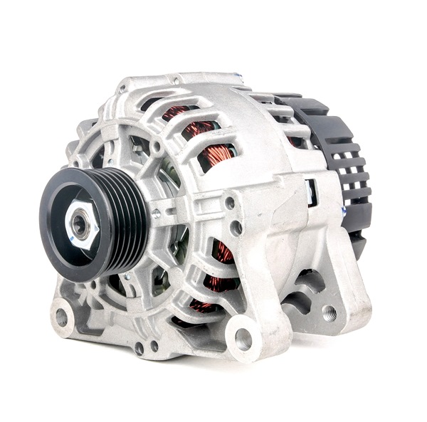 RIDEX 4G0053 Lichtmaschine PEUGEOT 206 Schrägheck (2A/C) 75 PS Benzin Kosten