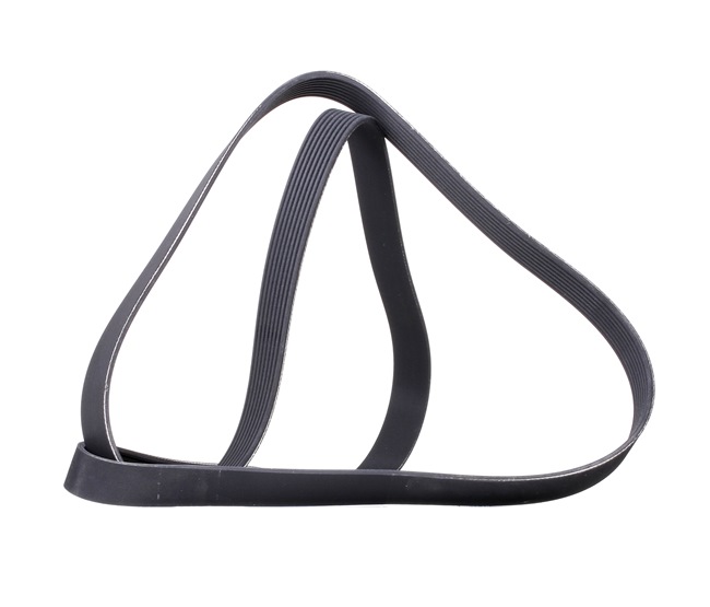 RIDEX 305P0352: Correa trapecial poli V 2035mm, Número de nervaduras: 8