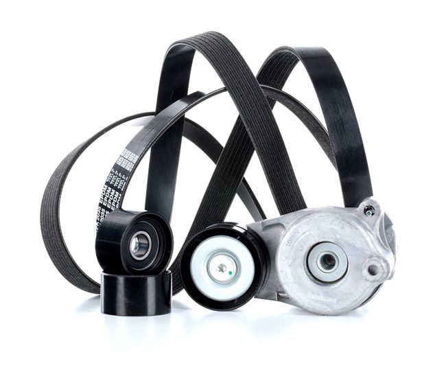 RIDEX 542R0010 Σετ ιμάντων poly-V MERCEDES-BENZ SPRINTER 3,5-t Κουτί (906) 184 PS Πετρέλαιο κόστος