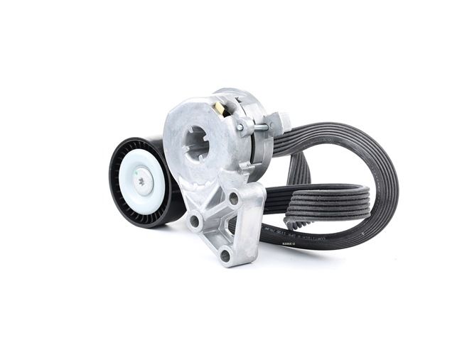 RIDEX 542R0015 Комплект пистов ремък VW Passat Variant (3C5) 150 K.C. бензин цена