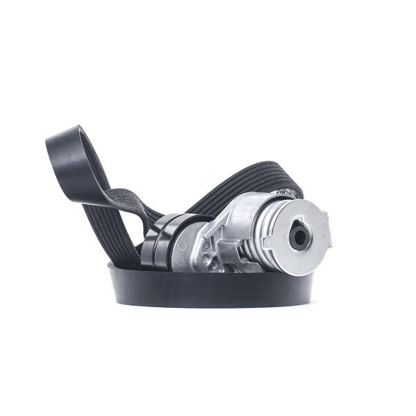 RIDEX 542R0029 Комплект пистов ремък RENAULT MEGANE 2 Coupe-Cabriolet (EM0/1) 139 K.C. бензин цена