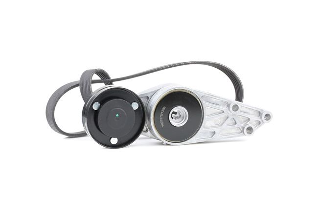 RIDEX 542R0031 Комплект пистов ремък AUDI A4 Седан (8D2, B5) 170 K.C. бензин цена