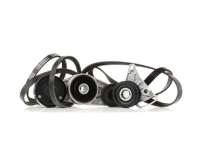 RIDEX 542R0037 Комплект пистов ремък AUDI A4 Седан (8D2, B5) 115 K.C. бензин цена