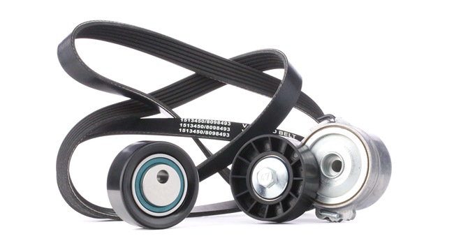 RIDEX 542R0039 Poly V-riem set FIAT Scudo Station wagon (220_) 109 Pk Diesel kosten
