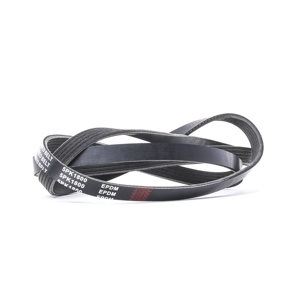 RIDEX 305P0366 Ιμάντας poly-V KIA CEE'D SW (ED) 90 PS Πετρέλαιο κόστος