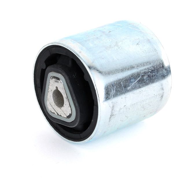 RIDEX 251T0123: Suspensión, Brazo oscilante ambos lados, delante, Eje delantero