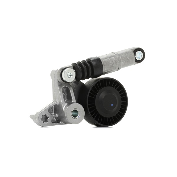 RIDEX 310T0113 Poulie, tendeur de courroie d'accessoire AUDI A4 B6/B7 Cabriolet (8H7, 8HE) 180 CV Diesel coût