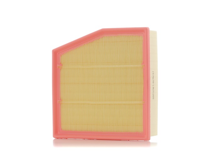 RIDEX 8A0599 Oro filtras VOLKSWAGEN Phaeton (3D1, 3D2, 3D3, 3D4, 3D6, 3D7, 3D8, 3D9) 240 AG dyzelinas kaina