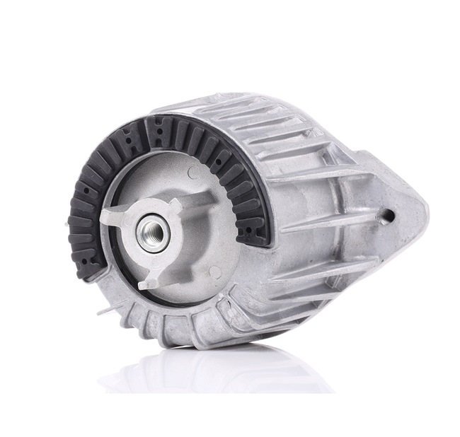 RIDEX 247E0108 Έδραση, κινητήρας MERCEDES-BENZ E-class Sedan (W212) 136 PS Πετρέλαιο κόστος