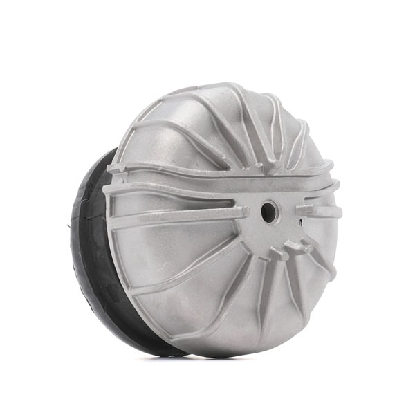 RIDEX 247E0116: Soporte de motor delante