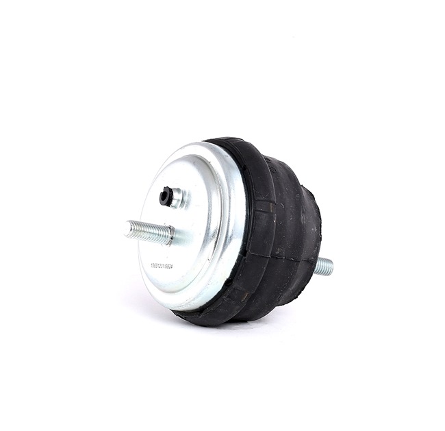 RIDEX 247E0124: Motorlager vorne, beidseitig