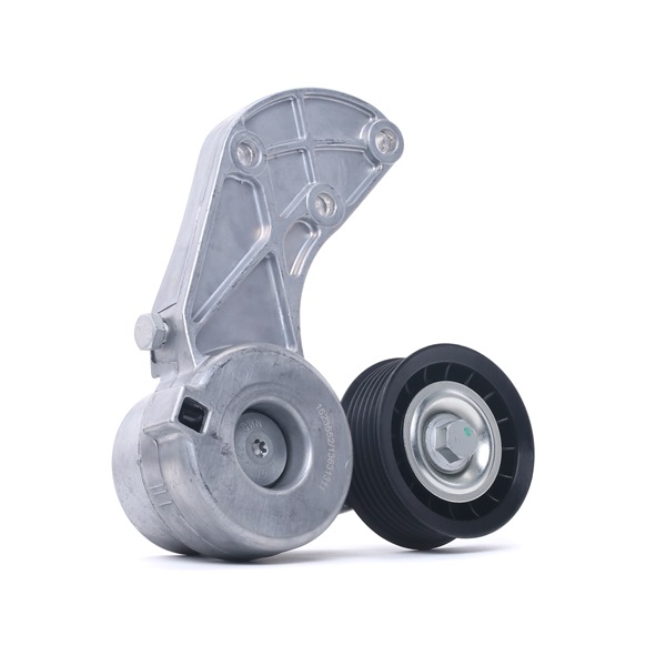 RIDEX 310T0219 Napinaci kladka, zebrovany klinovy remen VW Phaeton (3D1, 3D2, 3D3, 3D4, 3D6, 3D7, 3D8, 3D9) 280 HP Benzín cena