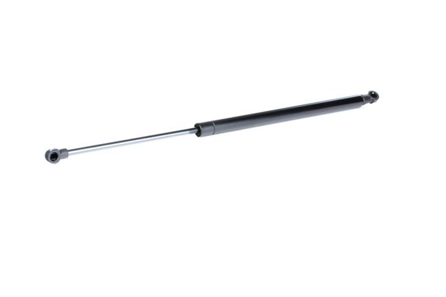 RIDEX 219G0569 Газов амортисьор, багажно / товарно пространство LAND ROVER Discovery 3 (L319) 190 K.C. дизел цена