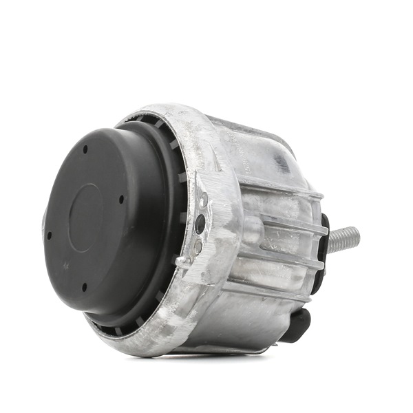 RIDEX 247E0168 Motorophæng BMW 1 Hatchback (E81) 204 HK Diesel hvad koster