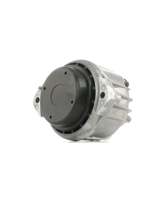 RIDEX 247E0169 Motorophæng BMW 1 Hatchback (E81) 204 HK Diesel hvad koster