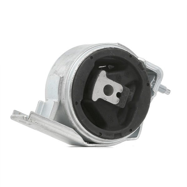 RIDEX 247E0191: Motorlager beidseitig, hinten