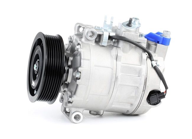 RIDEX 447K0239 Kompresor, klimatizace VW Phaeton (3D1, 3D2, 3D3, 3D4, 3D6, 3D7, 3D8, 3D9) 335 HP Benzín cena