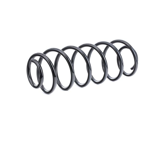 RIDEX 188C0297 Federn FORD FIESTA 5 (JH, JD) 1.4 16V 80 PS Benzin
