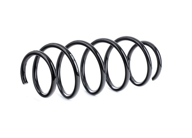 RIDEX 188C0313: Fahrwerksfeder Vorderachse