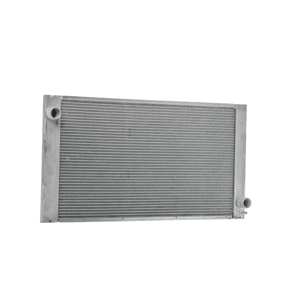 RIDEX 470R0521: Radiateur