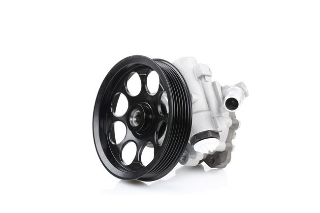 RIDEX 12H0119 Servopumpe SAAB 9-5 (YS3E) 305 hk Bensin hva koster