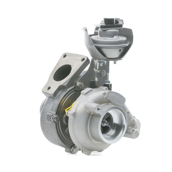 RIDEX 2234C0040 Turbolader CITROЁN C4 Picasso 1 (UD_) 136 PS Diesel Kosten