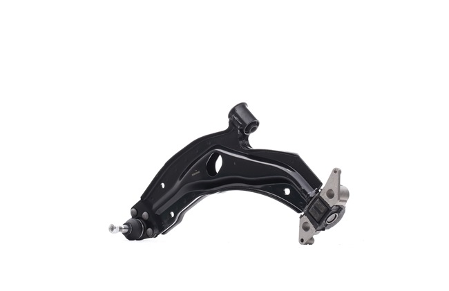 RIDEX 273C0771 Querlenker FIAT Doblo Cargo (223_) 120 PS Diesel Kosten