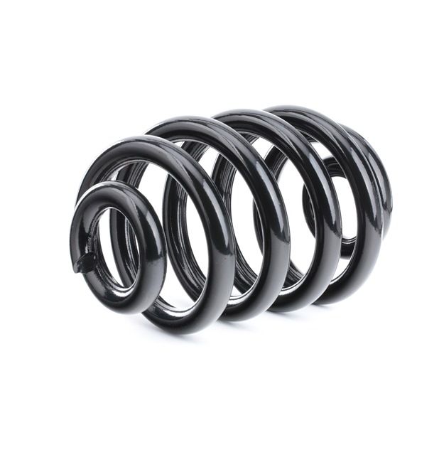 RIDEX 188C0380: Fahrwerksfeder Hinterachse