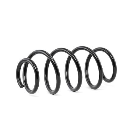 RIDEX 188C0399: Fahrwerksfeder Vorderachse