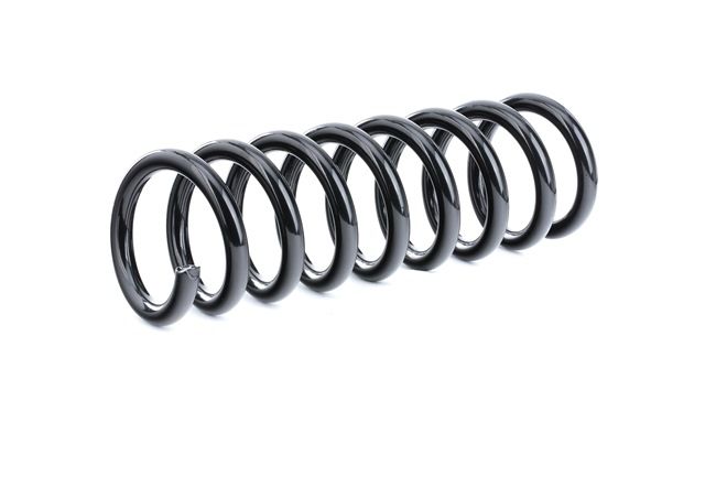 RIDEX 188C0400: Fahrwerksfeder Hinterachse