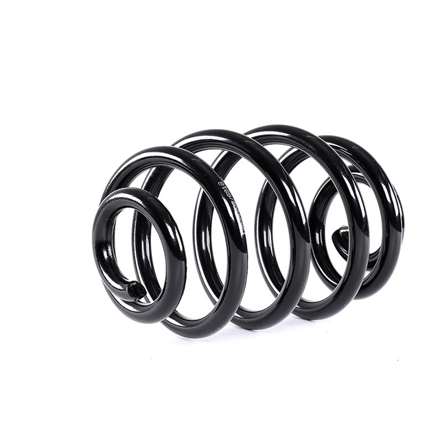 RIDEX 188C0429: Fahrwerksfeder Hinterachse